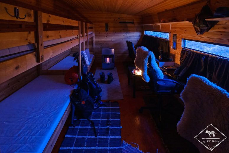 L'intérieur de la cabaneLa cabane pour la nuit, affût tétras lyre en Suède
