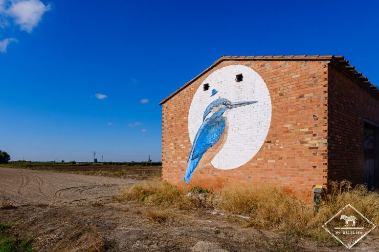 Martin-pêcheur, fresque murale à Ivars d'Urgell