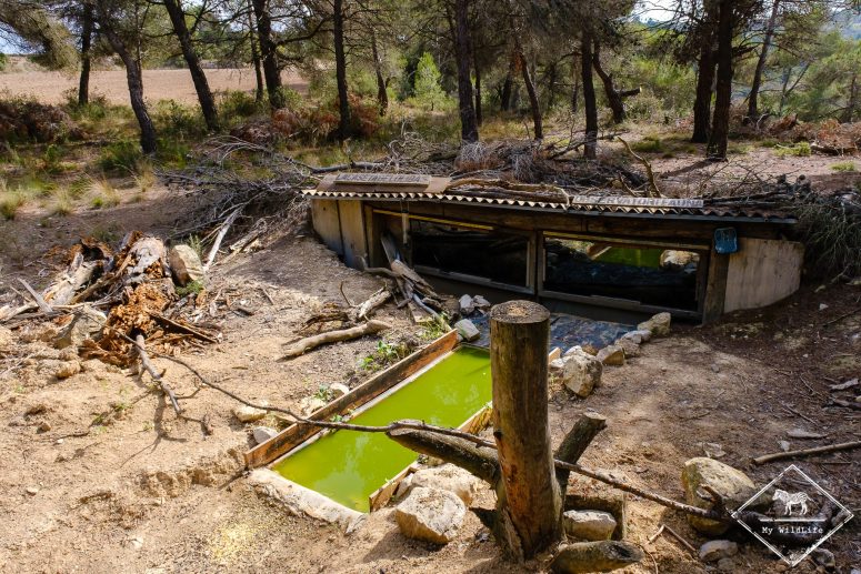 Affût, Vallbona de Los Monges