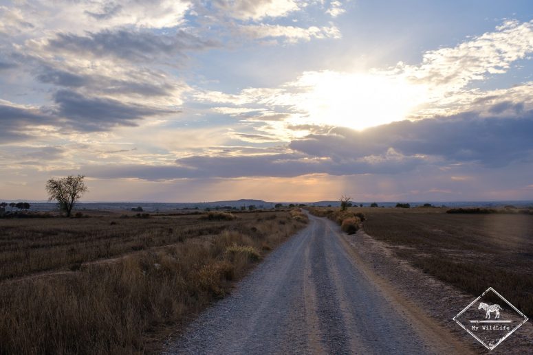 Roadtrip dans les steppes de Lleida