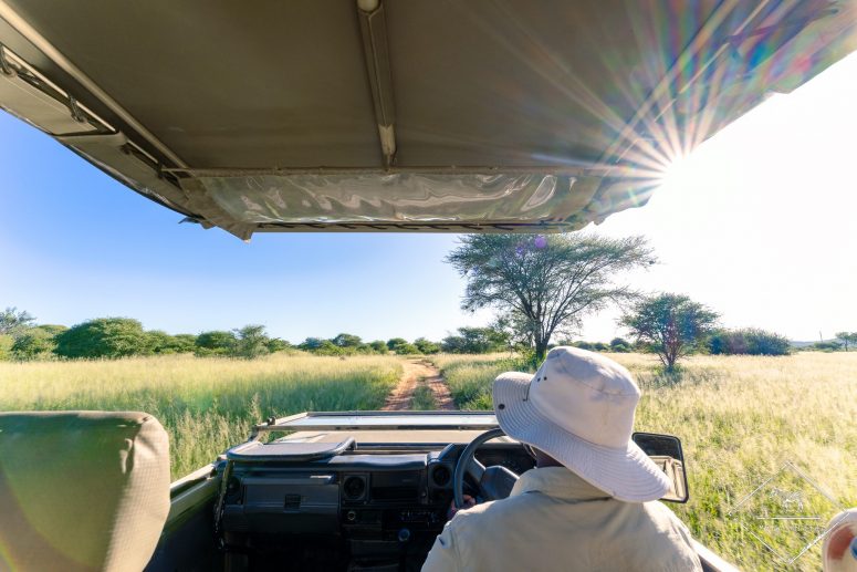 Safari à Okonjima
