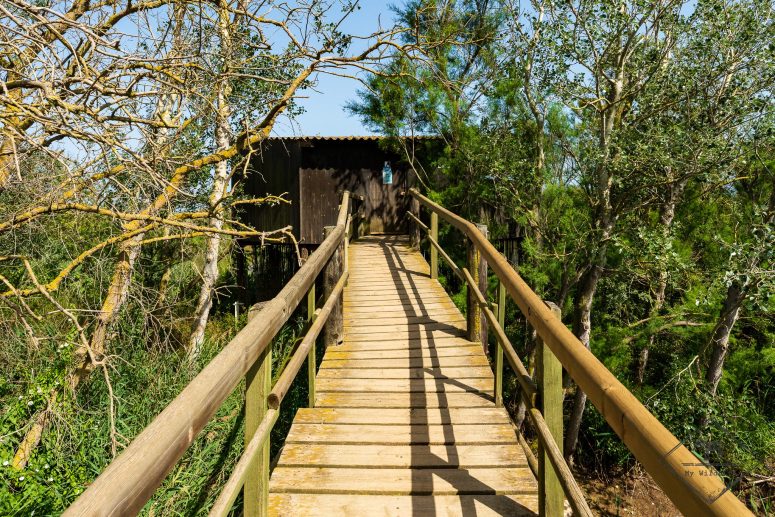 Observatoire, Parc naturel Aiguamolls de l’Empordà