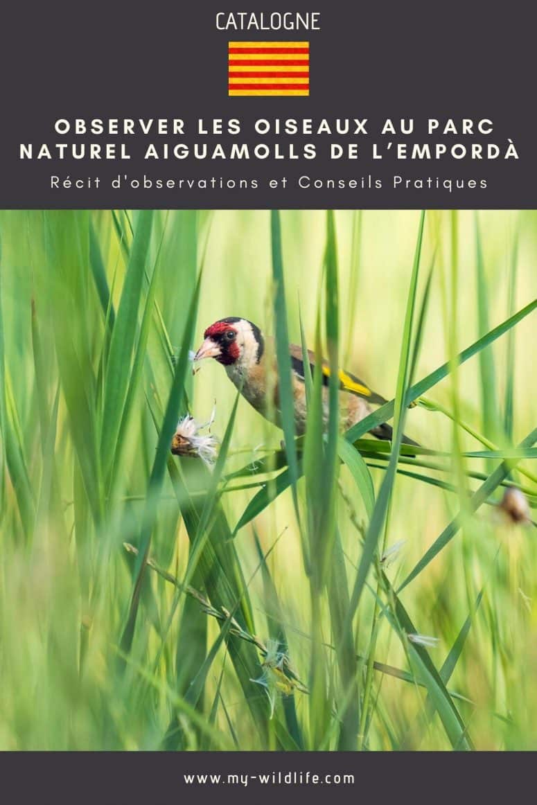 Observer les oiseaux à Aiguamolls de l’Empordà