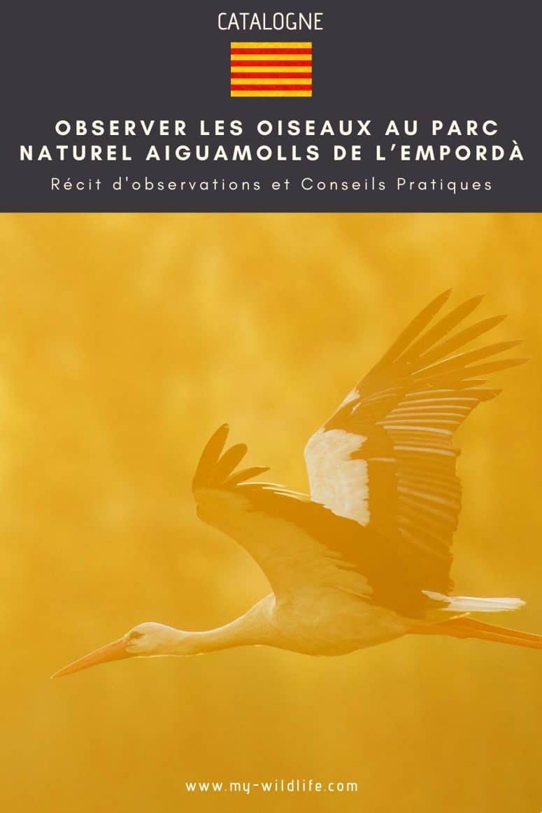 Observer les oiseaux à Aiguamolls de l’Empordà