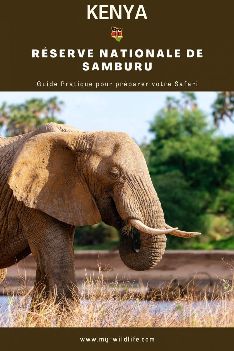 Réserve Nationale de Samburu