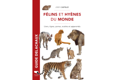 Félins et Hyènes du monde