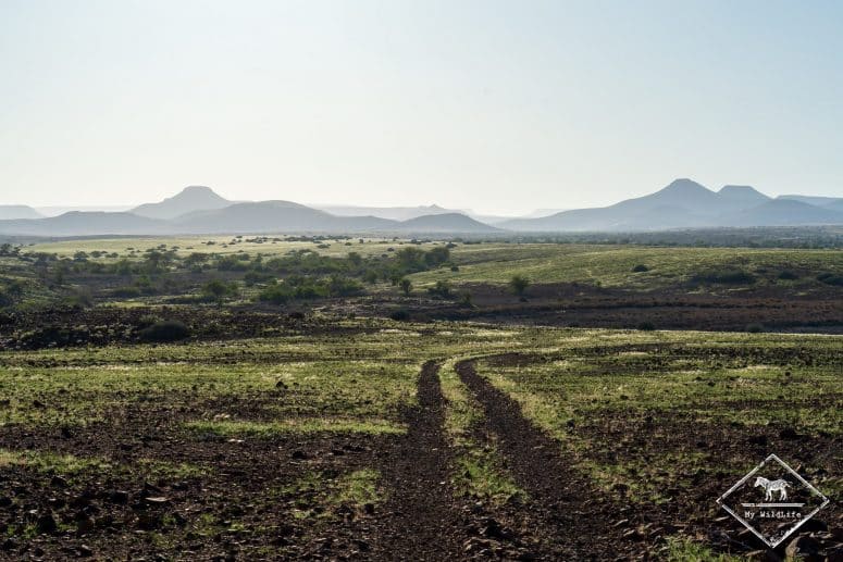 Palmwag, Namibie
