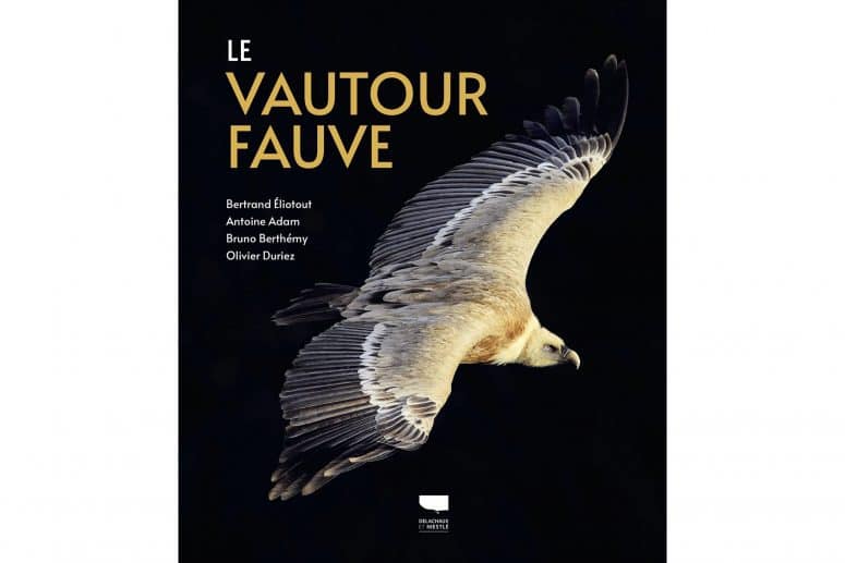 Le vautour Fauve aux éditions Delachaux Niestlé