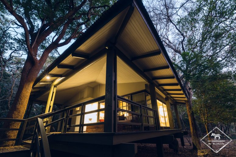 Phinda Forest Lodge
