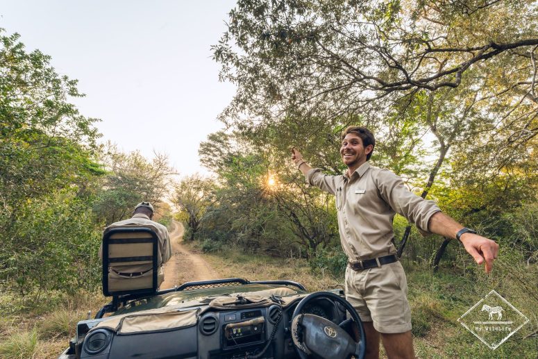 En safari, Phinda Private GAme Reserve