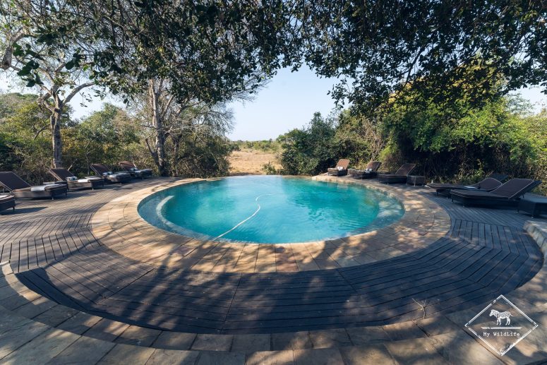Piscine du Phinda Forest Lodge