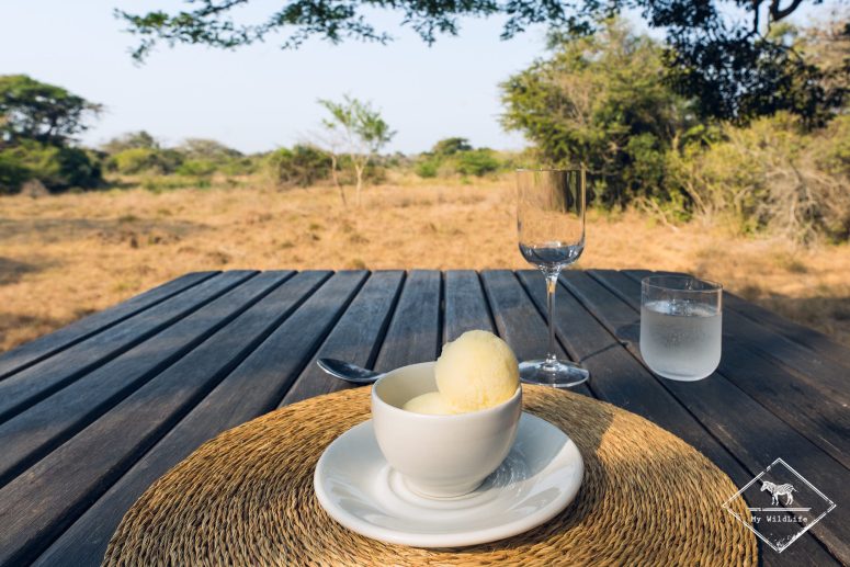 Dessert, Phinda Forest Lodge