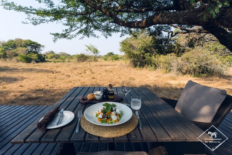 Déjeuner, Phinda Forest Lodge