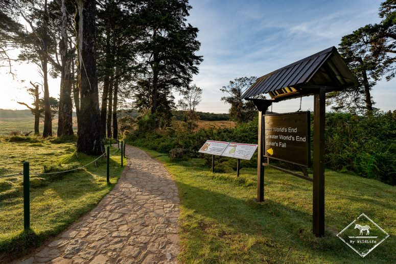 Parc national Horton Plains