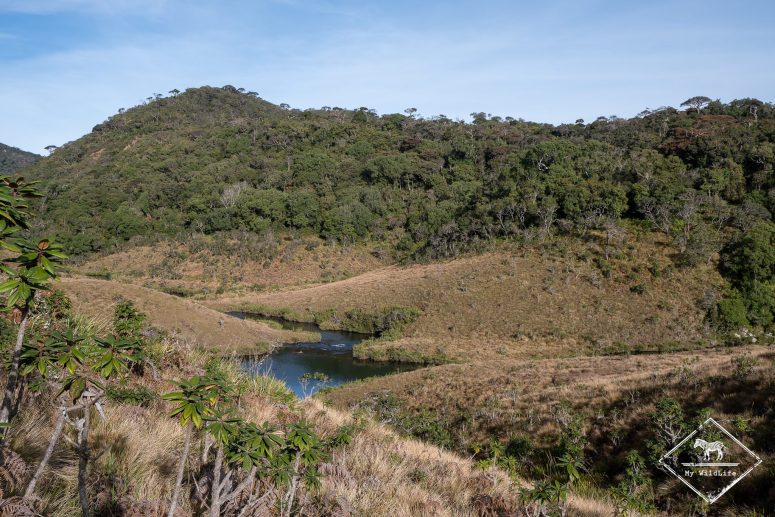 Parc national Horton Plains, Sri Lanka