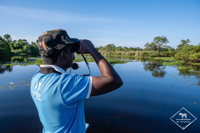 Kalametiya sanctury Bird