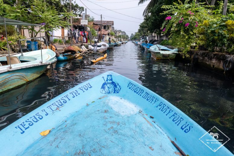 Sortie ornithologique dans le lagon de Negombo