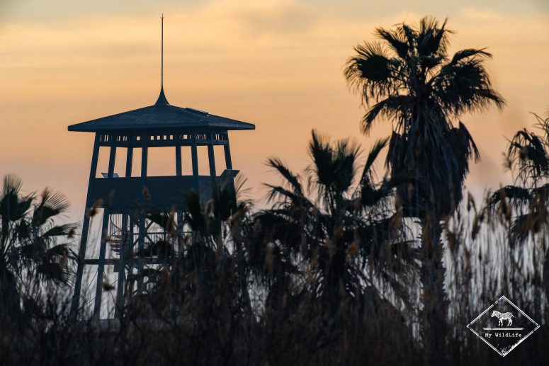 Mirador de Migjorn, delta de l’Èbre
