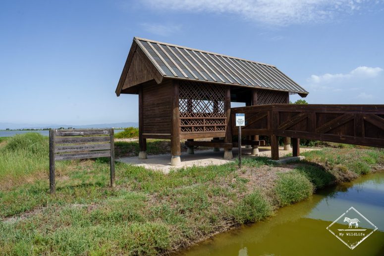 Observatoire, delta de l’Èbre