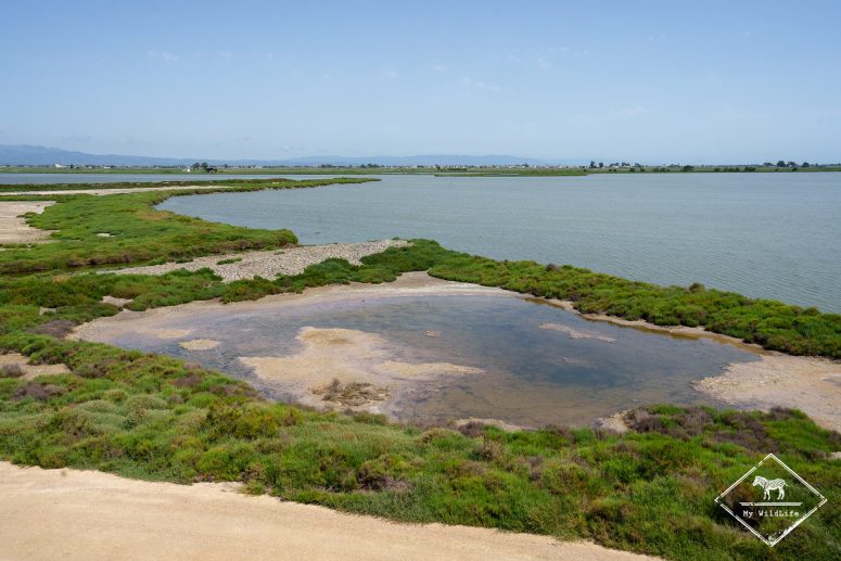 Delta de l’Èbre