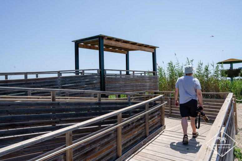 Mirador d’El pont d’El través, Delta de l'Ebre