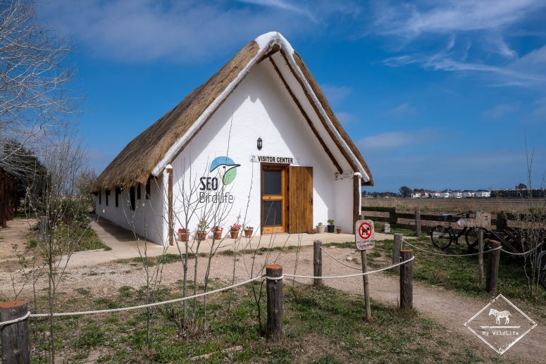 Birdlife Riet Vell, delta de l’Èbre