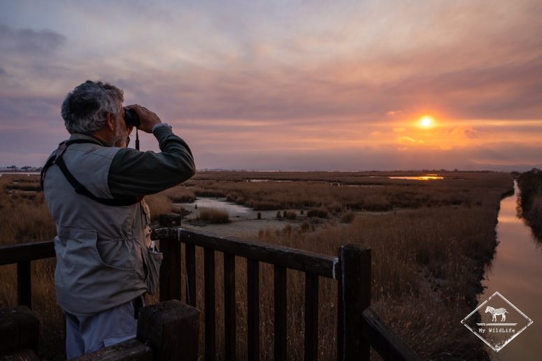 Mirador de l'Embut, delta de l’Èbre