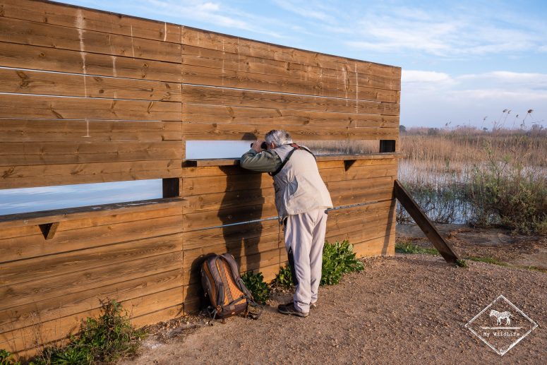 Palissade Alfacada, delta de l’Èbre