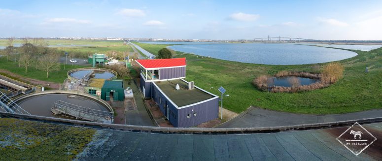 Station de lagunage de Rochefort