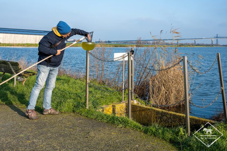 Station de lagunage de Rochefort