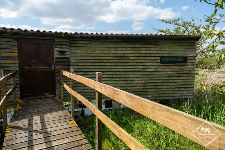 Observatoire, Station de lagunage de Rochefort