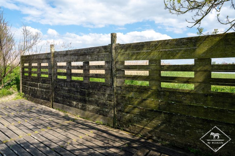 Palissade, Station de lagunage de Rochefort