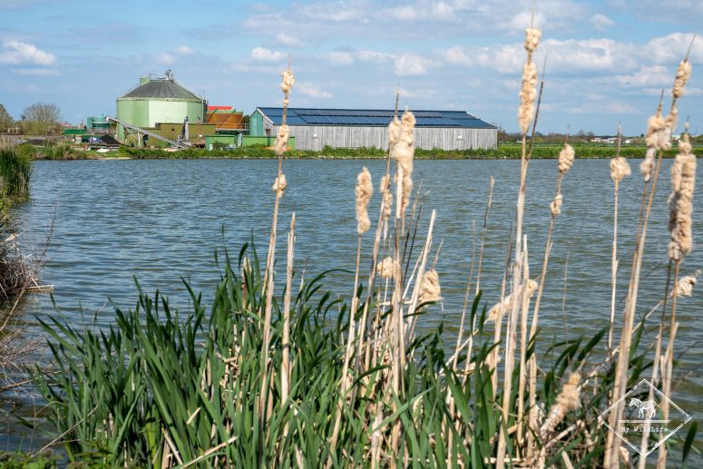 Station de lagunage de Rochefort