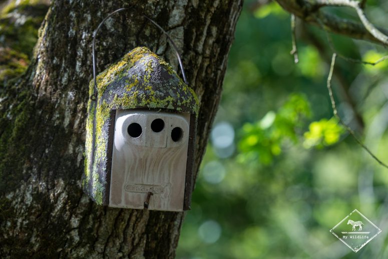 Nichoir, Marais aux oiseaux