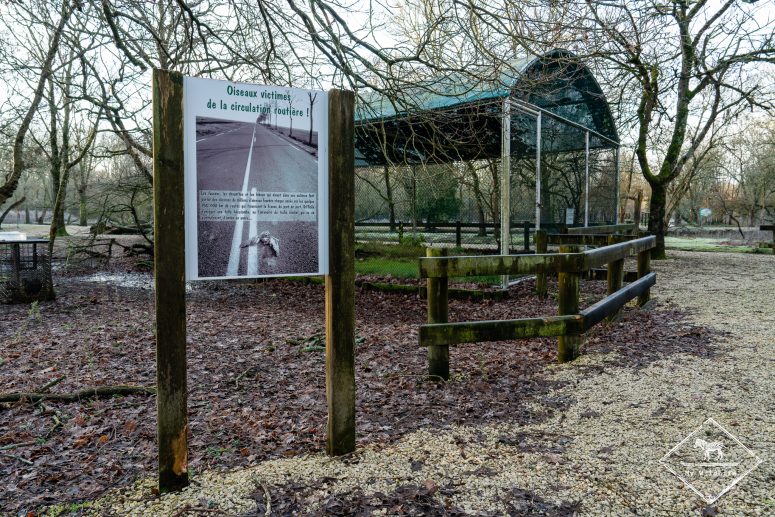 Volière, Marais aux Oiseaux de l'île d'Oléron