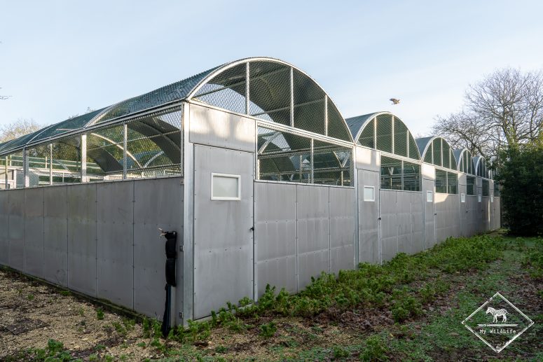 Volières, centre de Sauvegarde du marais aux Oiseaux
