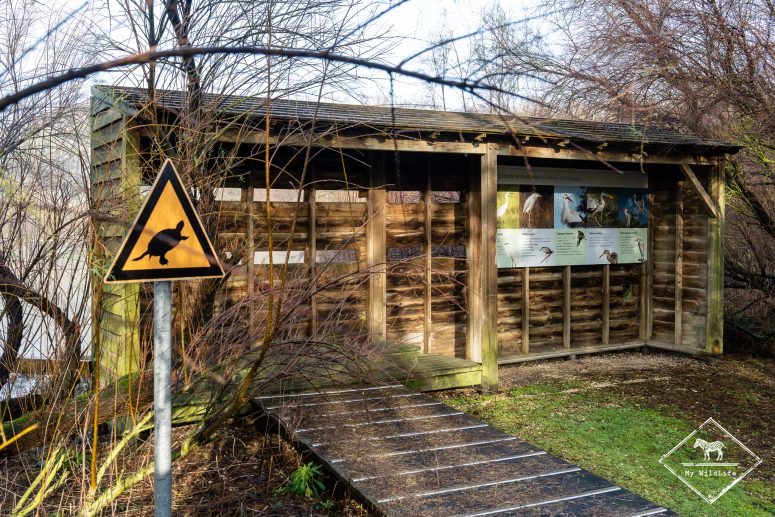 Palissade d'observation, Marais aux Oiseaux de l'île d'Oléron