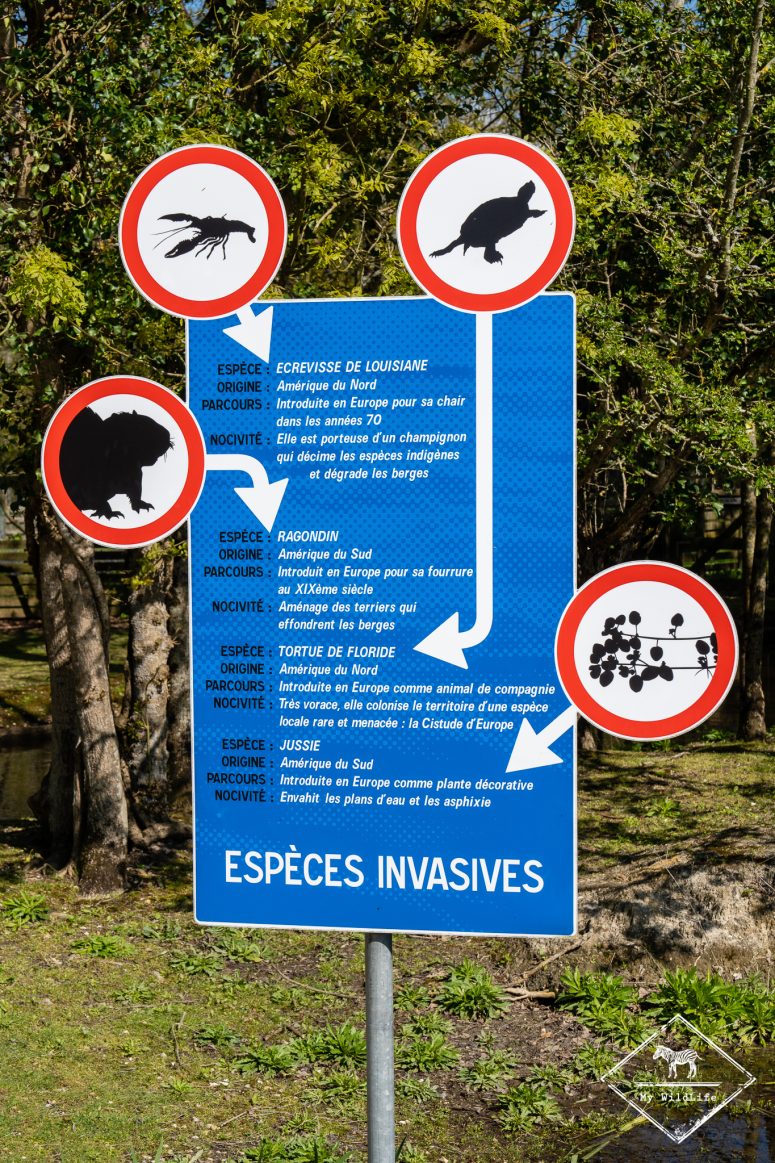 Panneau éducatif sur les espèces invasives, Marais aux Oiseaux de l'île d'Oléron