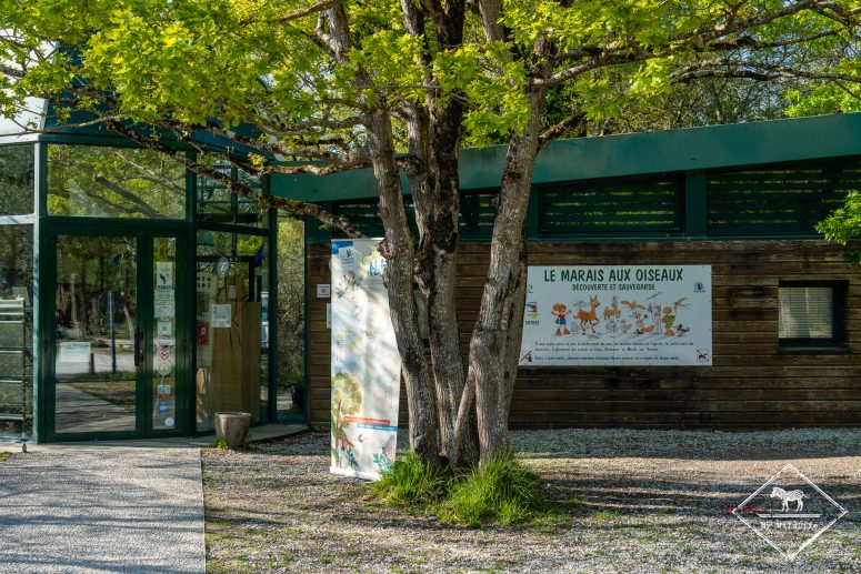 Marais aux oiseaux, île d'Oléron