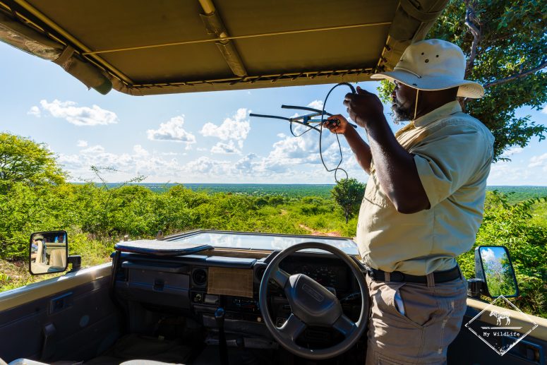Tracking du léopard, Okonjima Luxuary Bush Camp