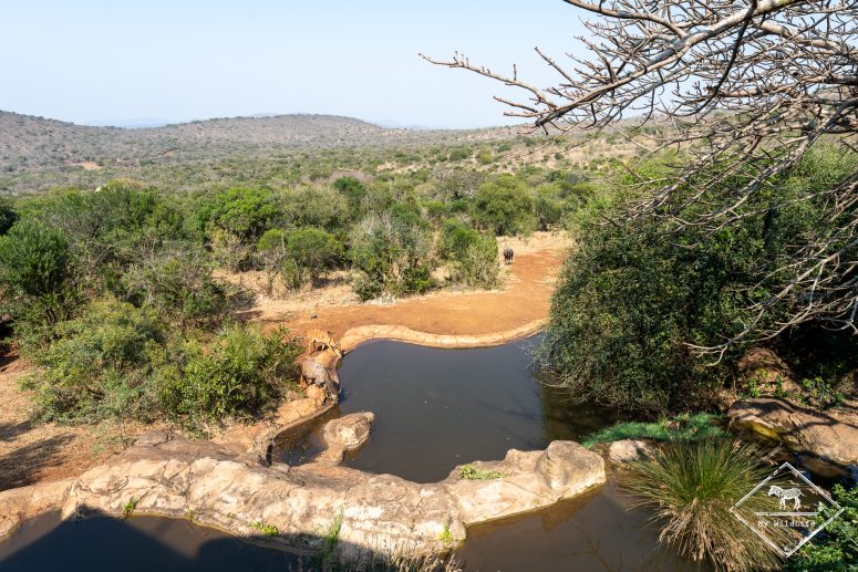 Point d'eau, ThandaSafari Lodge