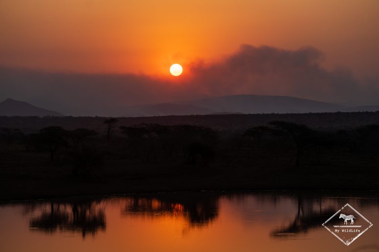Coucher de soleil, réserve privée de Thanda