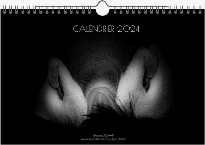 calendrier my wildlife 2024