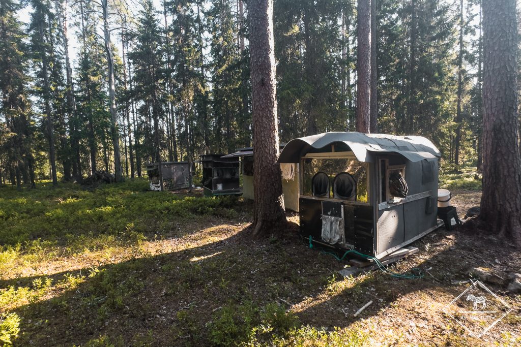Affûts photo en forêt