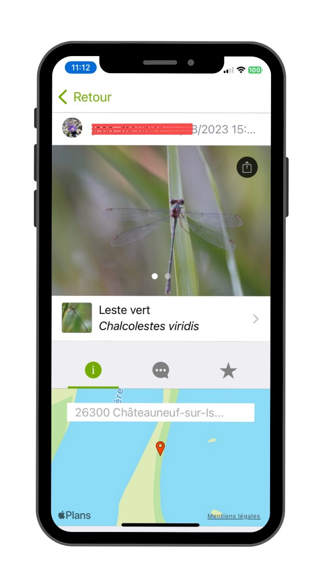 iNaturalist