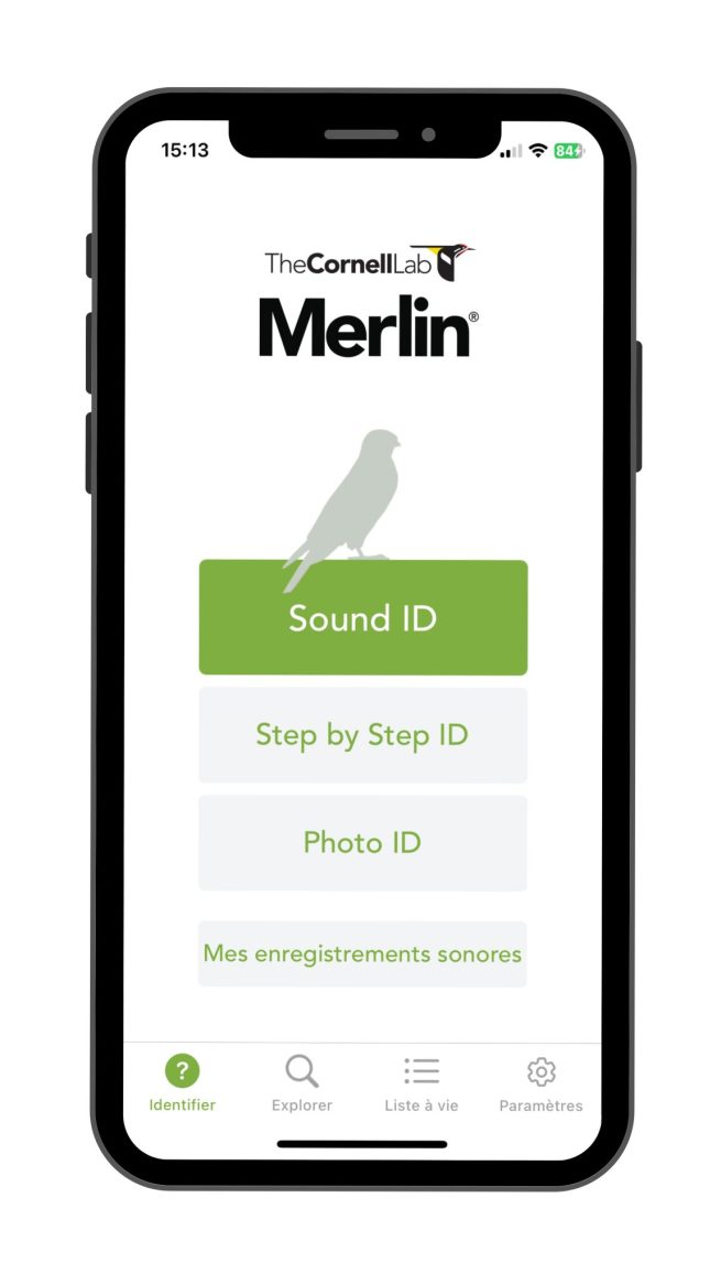 Merlin Bird ID