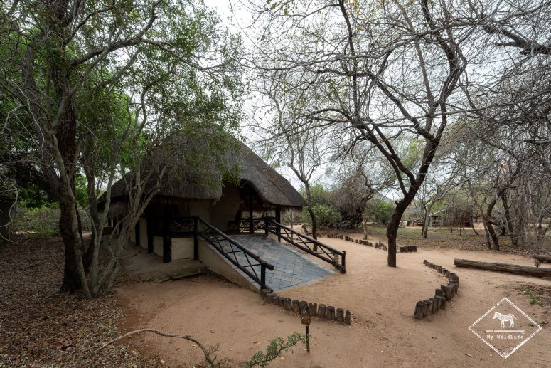 Tangala Safari Camp, Thornybush
