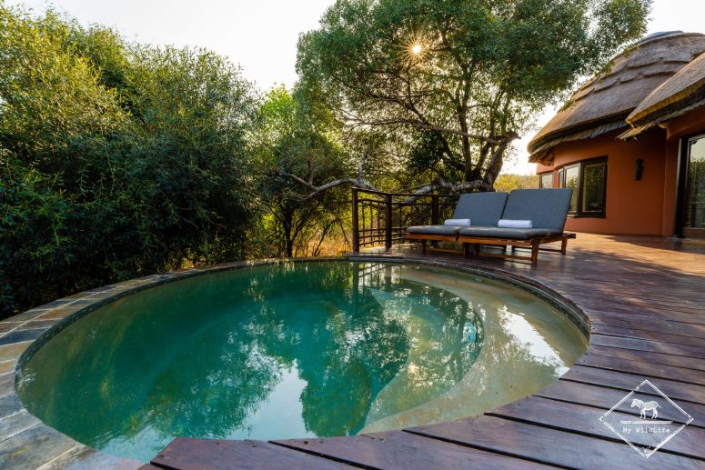 Piscine privatif, Thanda Safari Lodge