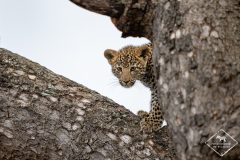 Mes plus belles rencontres animalières de 2023