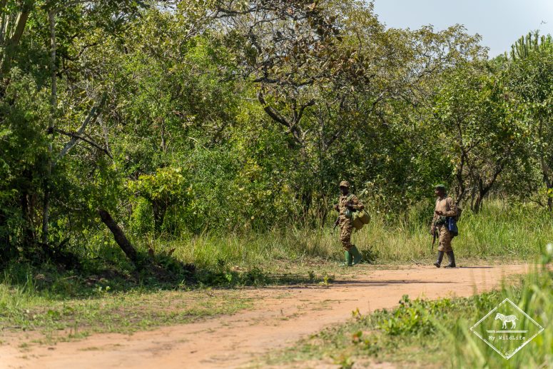 Gardes du Ziwa Rhino Sanctuary